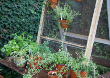 Creative ideas to transform an old window into a hanging herb garden