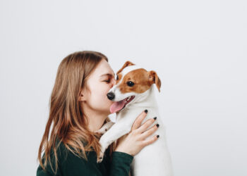 Why is our dog so adorable?