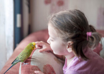 The parrot that saved his owner’s life