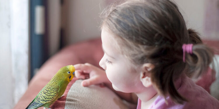 The parrot that saved his owner’s life