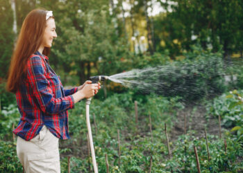 Mindful garden watering: balancing water use and conservation
