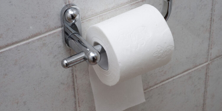 Refresh your bathroom with this amazing toilet paper hack
