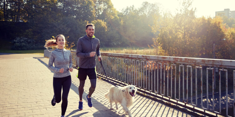 Helping your pet remain slim, trim, and healthy