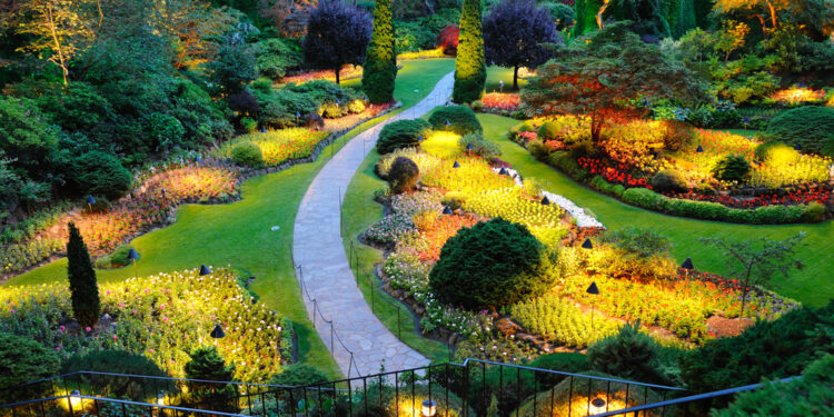 Redesign your garden to create a tranquil and inviting environment